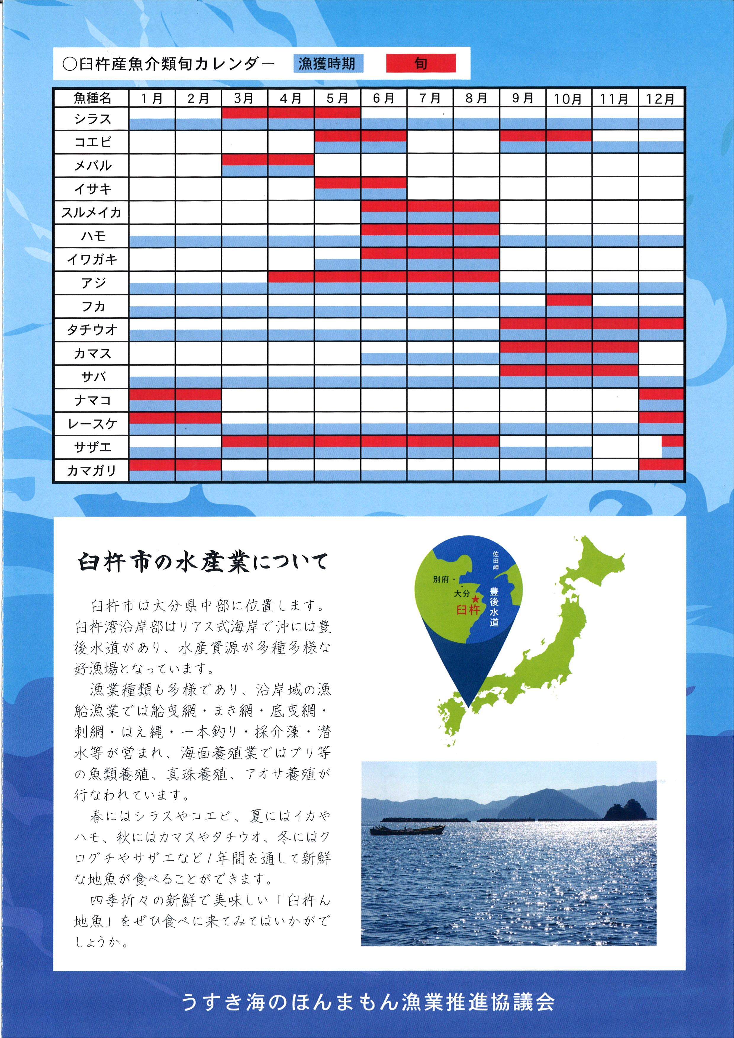 🐟🐟Fish Chart in Excel🐟🐟 